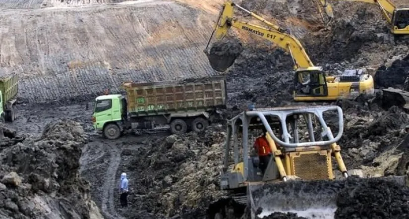 Minyak Hingga CPO Anjlok, Kok Harga Batu Bara Malah Menguat?